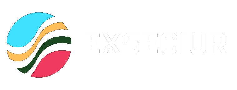 Exseciur
